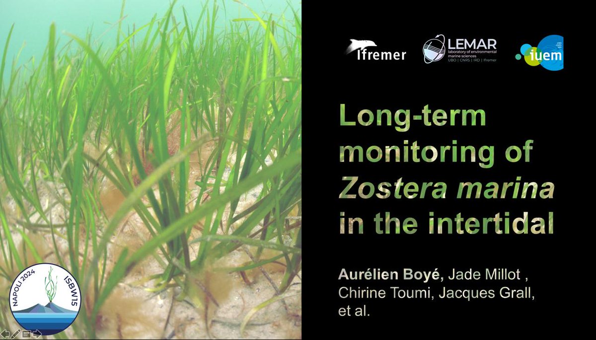 Aurélien Boyé tweet media
