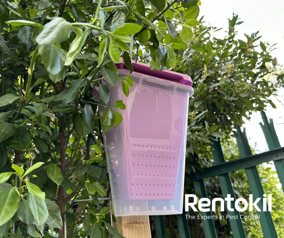 Rentokil research has shown that wasps are known to be up to 39% more attracted to EcoCatch traps, compared to more commonly used white or yellow traps.

rentokil.co.uk/wasps/business…