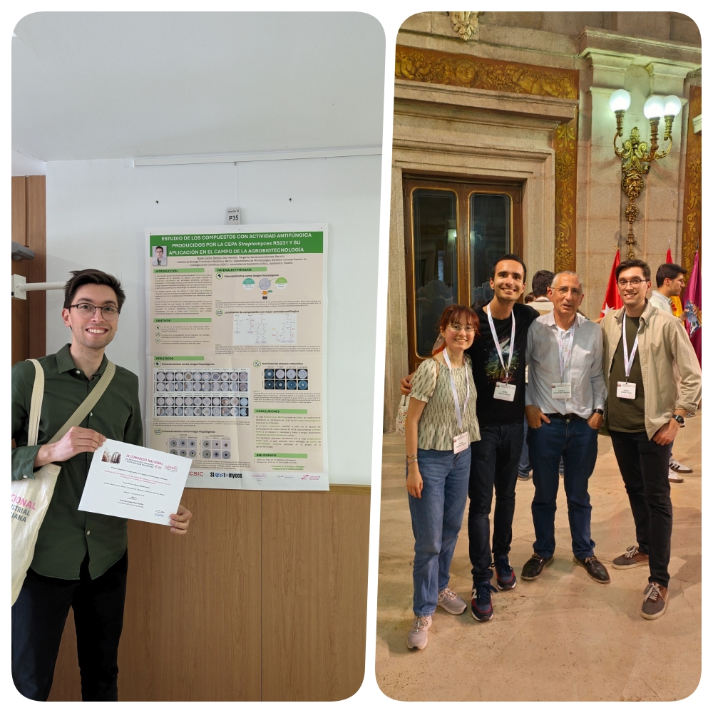 El grupo del Dr. Santamaría y la Dra. Díaz asistió recientemente al IX Congreso Nacional de la SEM de Microbiología Industrial y Biotecnología Microbiana. ¡Felicitamos a <a href="/ramiro_cacho/">Ra</a> por ganar el Premio al Mejor Póster en la Sesión de Biotecnología Ambiental!
#CMIBM24