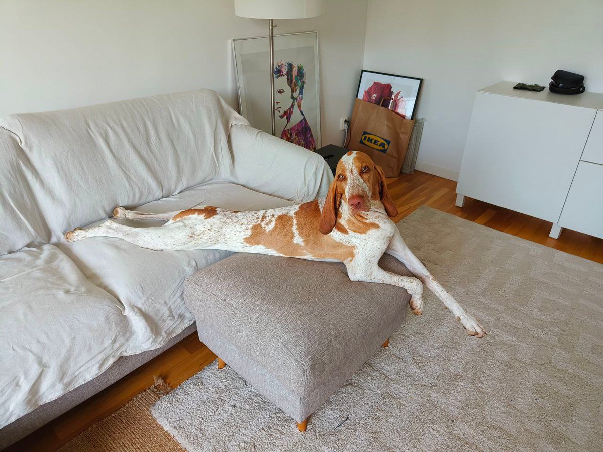 Макакачечка 🇺🇦 tweet media