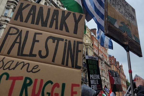 David Robie tweet media