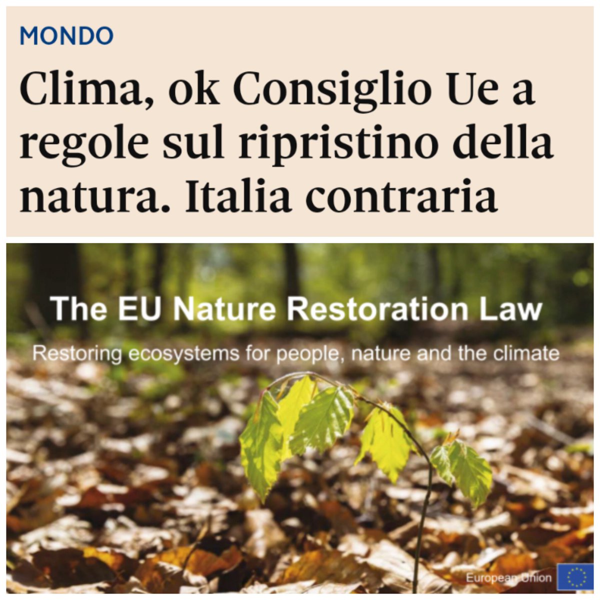 Achille Variati tweet media