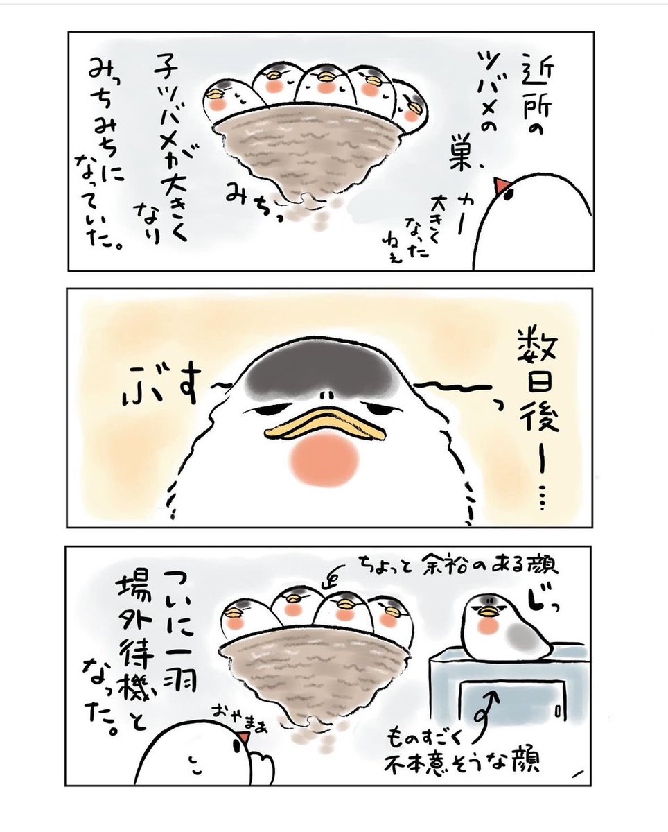 明日も20〜21時にイラスト投稿します🐦
『不定期佐渡日記③』(再掲) 