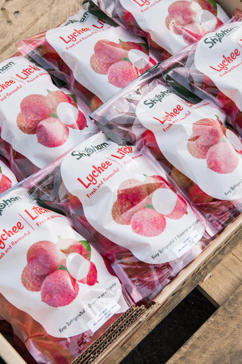 StePac_Xtend's tweet photo. Delivering Premium Lychees with Preserved Flavor and Freshness
We're excited to spotlight our partnership with Miriam Shoham LTD, a leading grower and exporter of ultra-premium lychees from Israel.💗🥳

#StePacPPC #MiriamShoham #FreshProduce #Lychee #ModifiedAtmospherePackaging https://t.co/d6BIXyqtd5