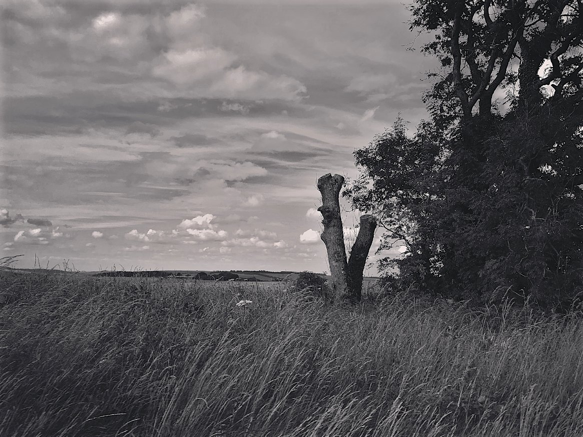 We must be honest as witches. There are days when we find nothing but sour omens. Our cloud-telling offers no comfort, our walking of field edges harvests no harbingers of happiness. Not all witch-walking can be a navigation towards joy. – #EmilyBanting, 1981 #Witchcraft