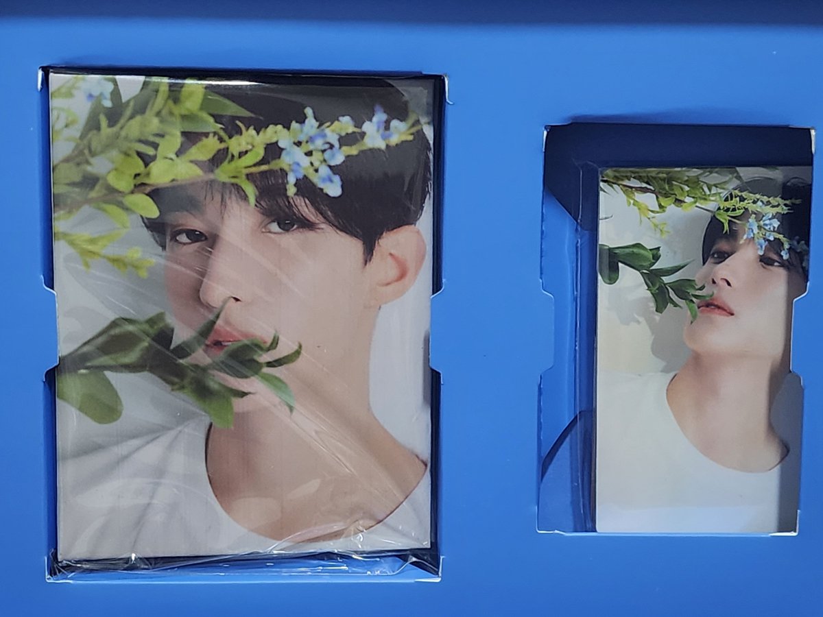 KayePopShopPH's tweet photo. 17 is right here Dear version

-unsealed
-no random photocards
-onhand
-ready to ship 🩷 https://t.co/9C2wgswHP2