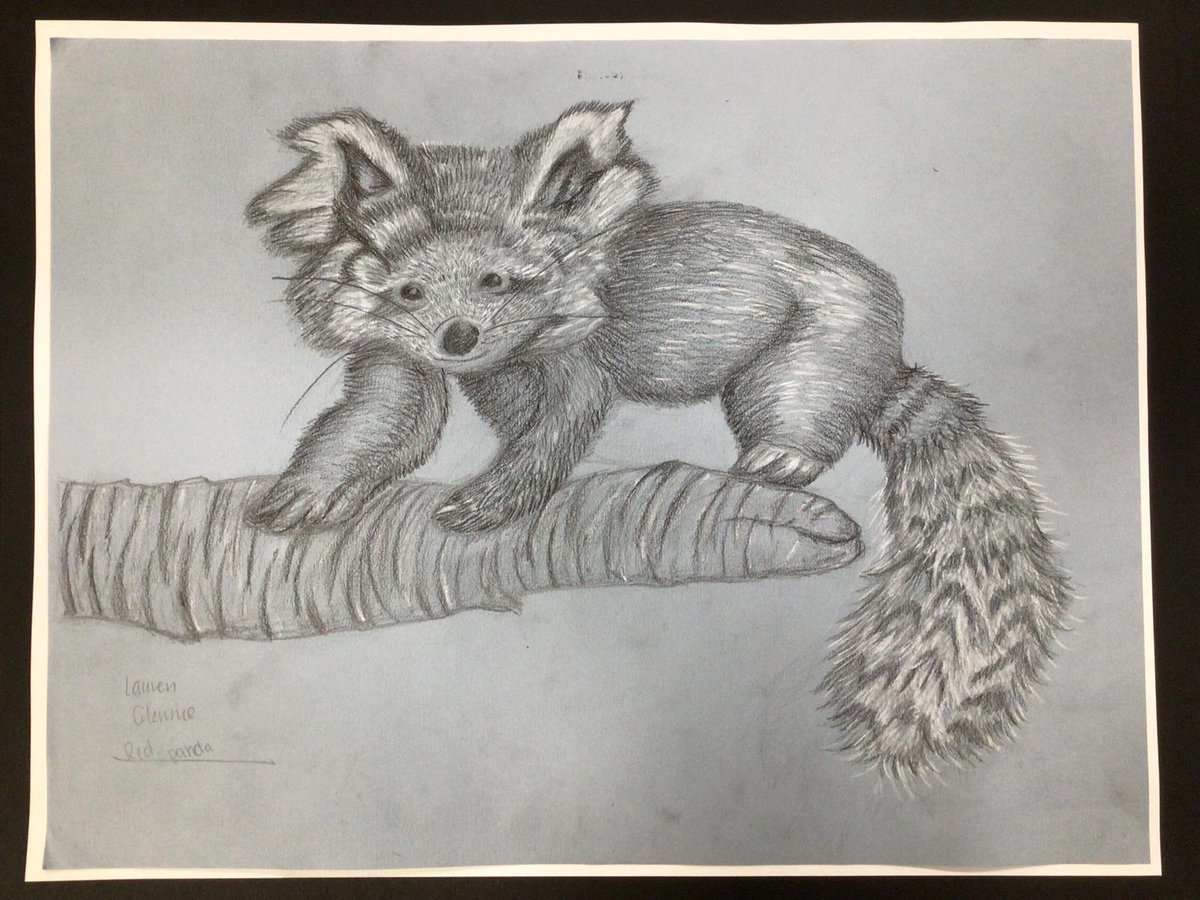 Congratulations to our S3 into S4 art and design pupils  Stella H , Poppy D and Lauren G who swept the board at the prestigious <a href="/GlasgowMuseums/">Glasgow Museums</a> <a href="/KelvingroveArt/">Kelvingrove Art Gallery and Museum</a> Glasgow Museums Drawing Competition, winning gold, silver and bronze respectively. Top work!