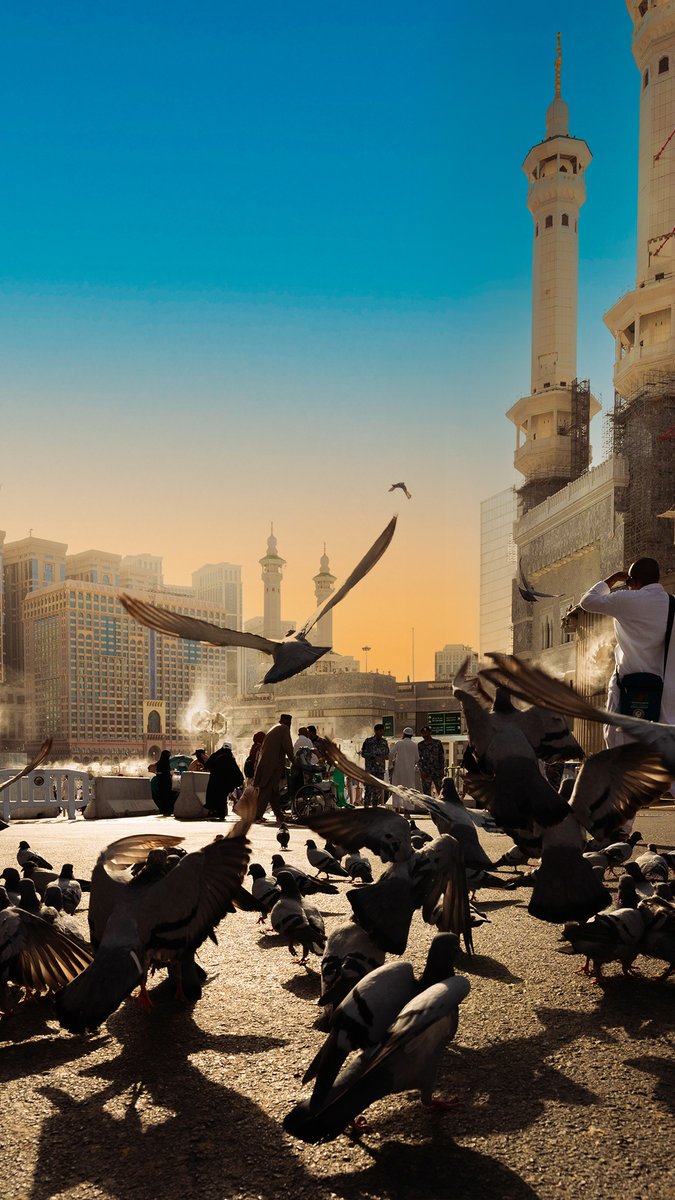 HajMinistry's tweet photo. أجمل الصور واللقطات من المسجد الحرام والمشاعر المقدّسة، خصيصًا من أجل خلفية جوالك 🕋📱.

#حج_1445هـ
#يسر_وطمأنينة https://t.co/ldGS76xoTY