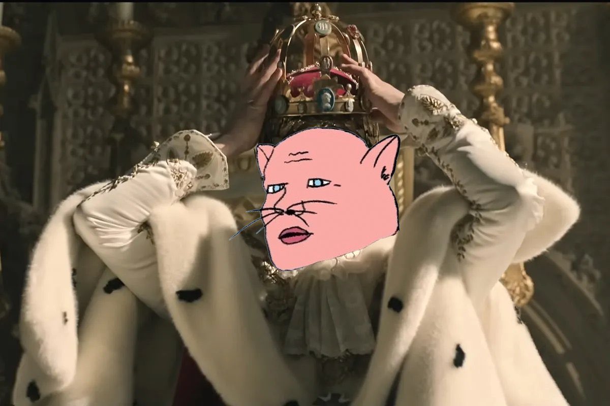 Real_Novocats's tweet photo. It’s a great day to ascend the throne #KingOfCats #Novocats $NOVO https://t.co/wYNHVu3CYt
