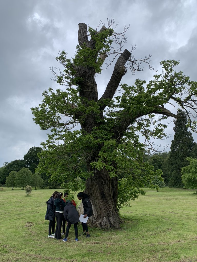 WelbeckPS tweet media