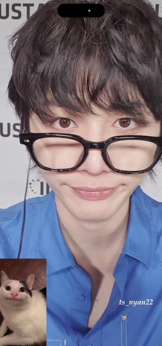 taesanbsd's tweet image. our polite cat