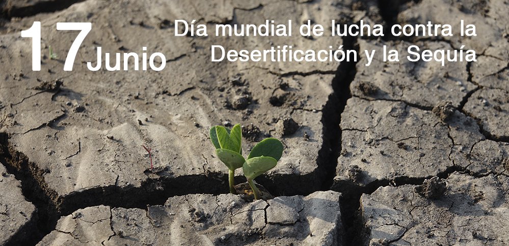 parragagraciela's tweet photo. Los árboles y toda forma de vegetación frena el avance de la sequía, el desierto y la desertificación.
Donde hay árboles y otras forma de vegetación siempre habrá lluvia.
Donde hay lluvia, hay vegetación, hay vida.
#NoALaTala
#NoALaDeforestación https://t.co/EYoQE1XFoF