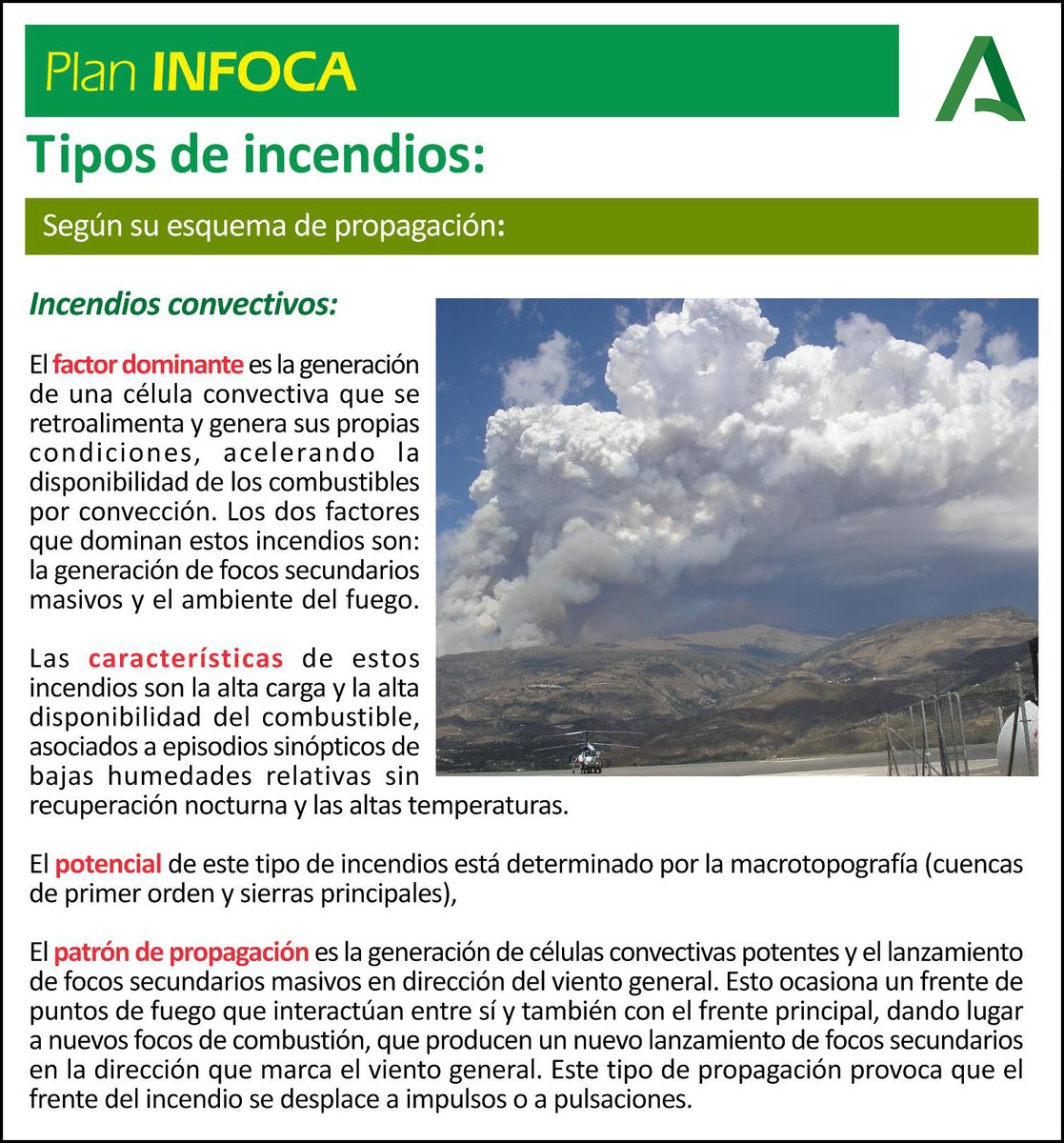 Plan_INFOCA's tweet photo. 👨🏻🎓 DIVULGACIÓN | #IncendiosForestales ¿qué sabes de su factor dominante, de sus características, de su forma de propagación? Te hemos contado los tipos de #IIIFF que hay por su tamaño, o según por dónde propagan. Ahora, te los diferenciamos por su patrón de propagación… https://t.co/quEvGRknvr