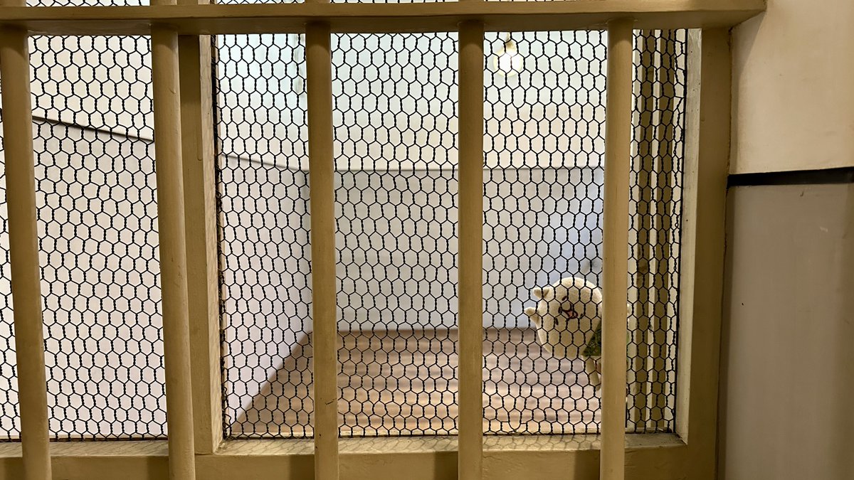 x2_0v's tweet image. 雑居房にて
なぜか楽しそう
#ねーねーねこ