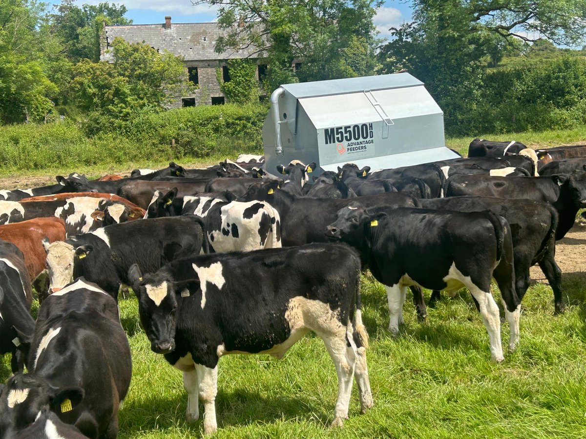 Happy days

Visit advantagefeeders.ie for more information
Call 1800 817 462

#happycalfs #summerfarming
#dairyfarm #sheepfarm #beeffarming