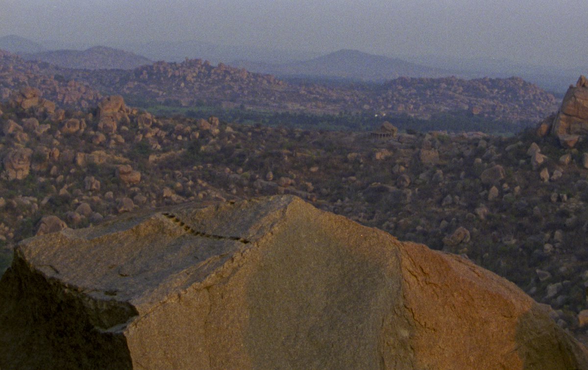 James Lattimer tweet media