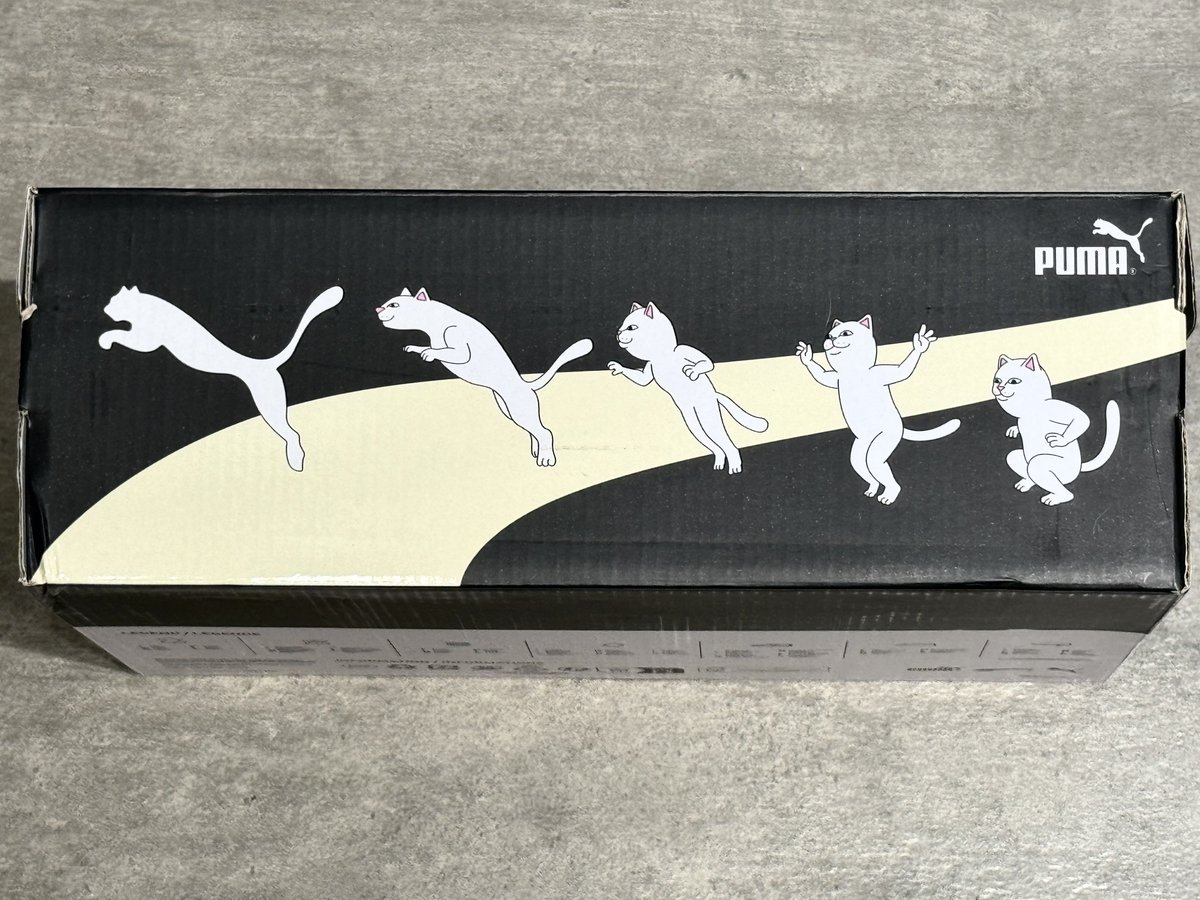 Kikka (@K_Link_) / Posts / X