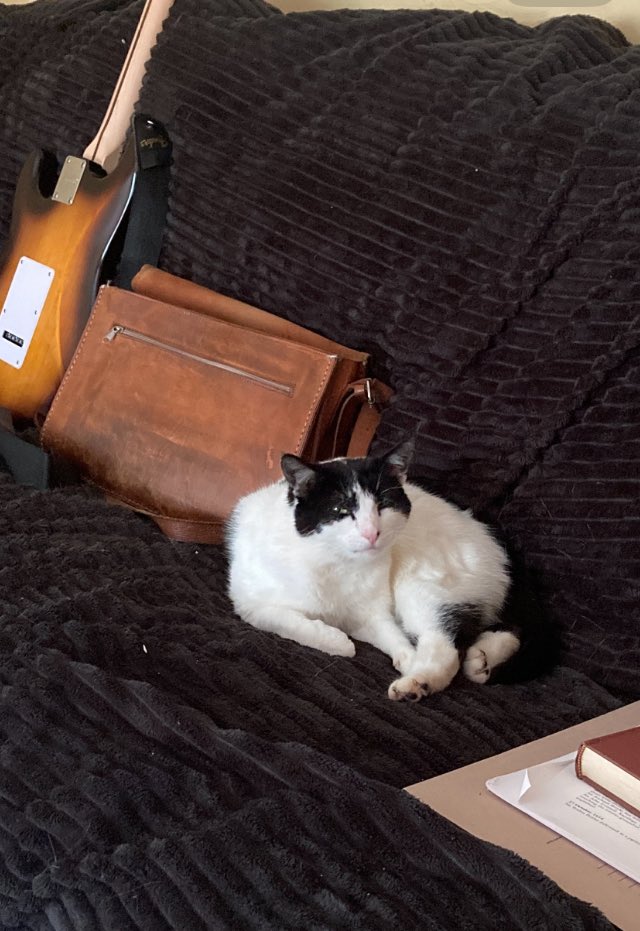 Coleman Dennehy tweet media