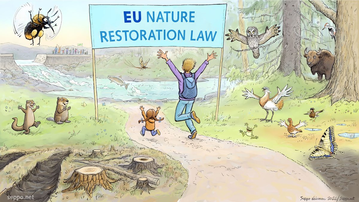 Yay!!! We get the #NatureRestorationLaw after all!! 😍

Celebrating with this great pic by <a href="/sepponet/">Seppo mstdn.social/@sepponet</a>.