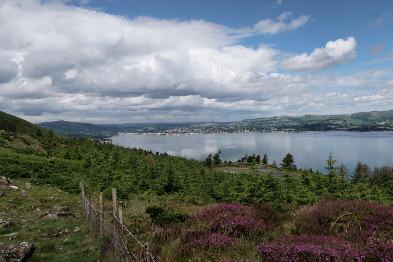 Découvrez mon dernier article sur les 20 meilleures activités à faire sur la côte est de l'Irlande ! De Carlingford à Wexford, explorez un patrimoine et des paysages inoubliables #InstantIrlande #Irlande #blog #voyage celticwanderlust.com/fr/choses-a-fa…