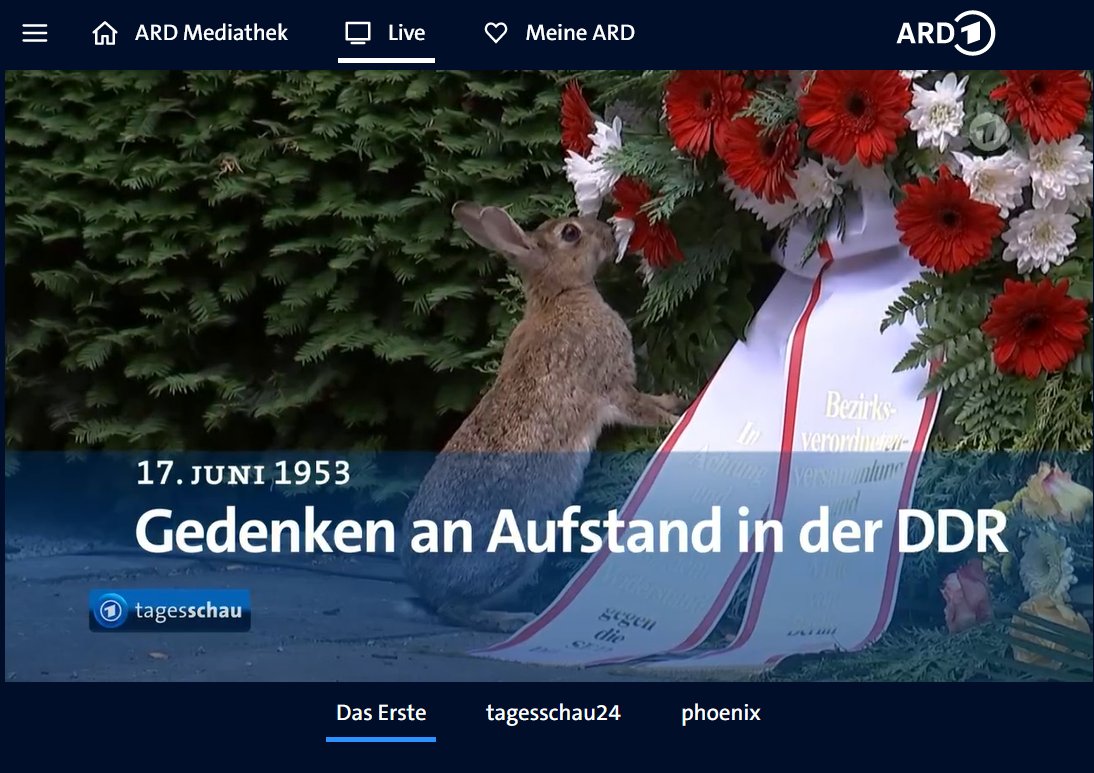 neue formen des gedenkens in berlin.