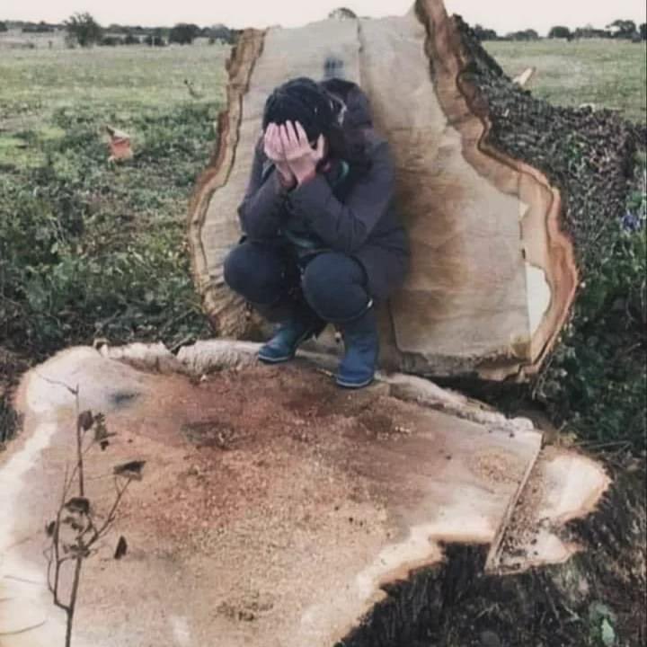 More than 40 years old when Mozart was 8 years old. 50 years old when first steam engine was patented. 180 years old when Wright brothers flew the first powered airplane.Over 300 years old sacrificed for the construction of roads Leamington &amp; Kenilworth. An activist who fought😔