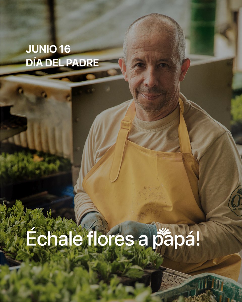 FLORES EL CAPIRO S.A tweet media