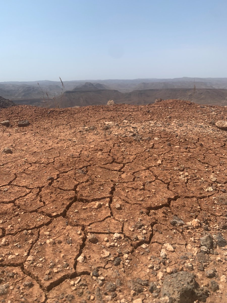 C’est la #JournéeMondialedeLutteContrelaDésertificationetLaSécheresse ! La France s’engage auprès du CERD pour la recherche de solutions durables contre la désertification et pour la résilience des écosystèmes. Ensemble pour le bien-être des populations ! 🇩🇯🤝🇫🇷