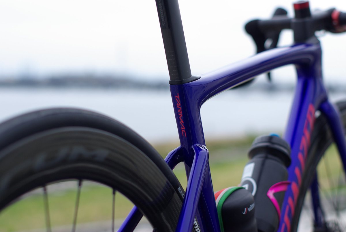 Shinn09022's tweet photo. SPECIALIZED Tarmac SL7
かちょいい👍 https://t.co/l5qSJcqD0G