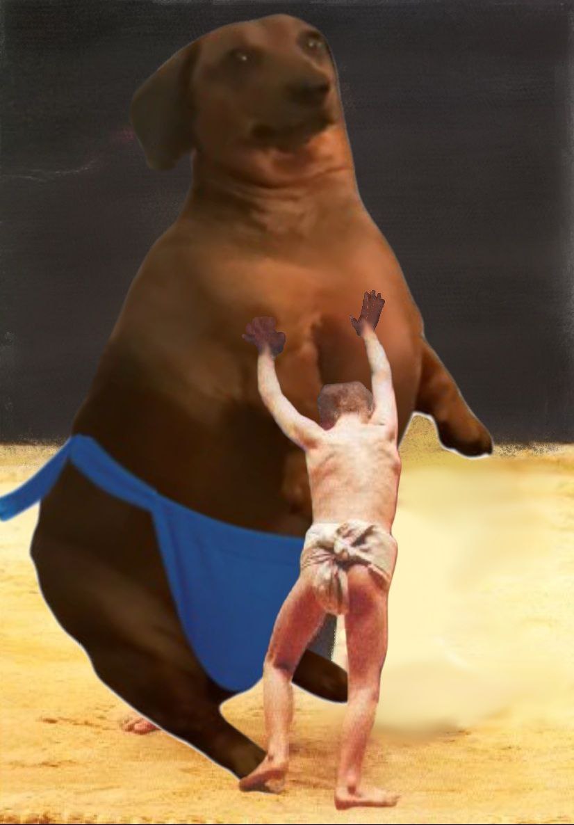 <a href="/mememe69696969/">me 🪲</a> GM from ...  $SUBO