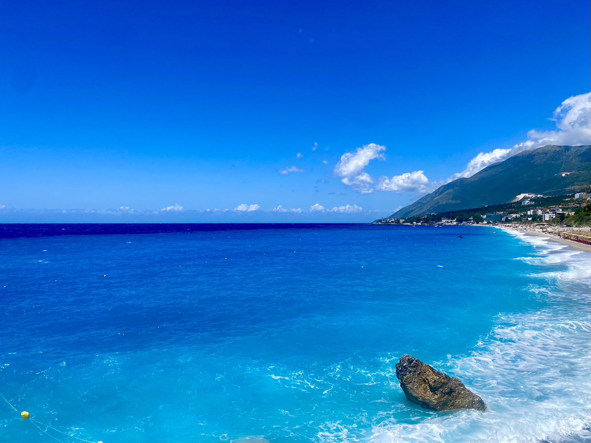 Dr. Sidita Kushi tweet media