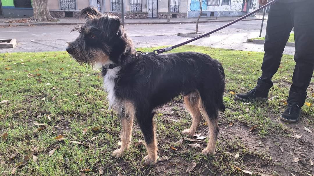 ⸸ Deggial ⸸ tweet media