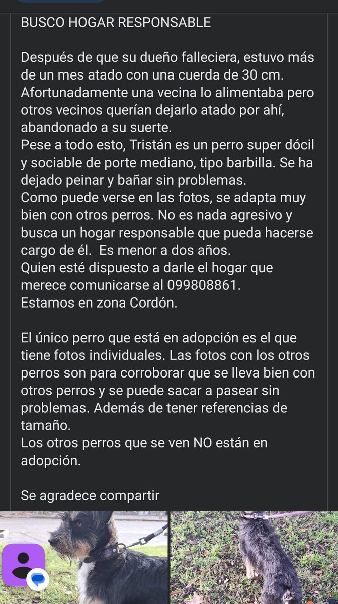 ⸸ Deggial ⸸ tweet media