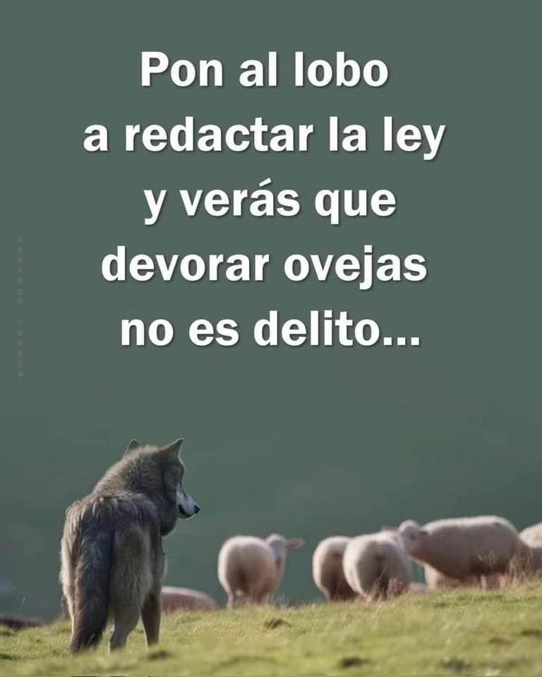 CCovidio's tweet image. Buenos días 
Tomen nota Xtraños ☝️😌
#ReformaDelPoderJudicial