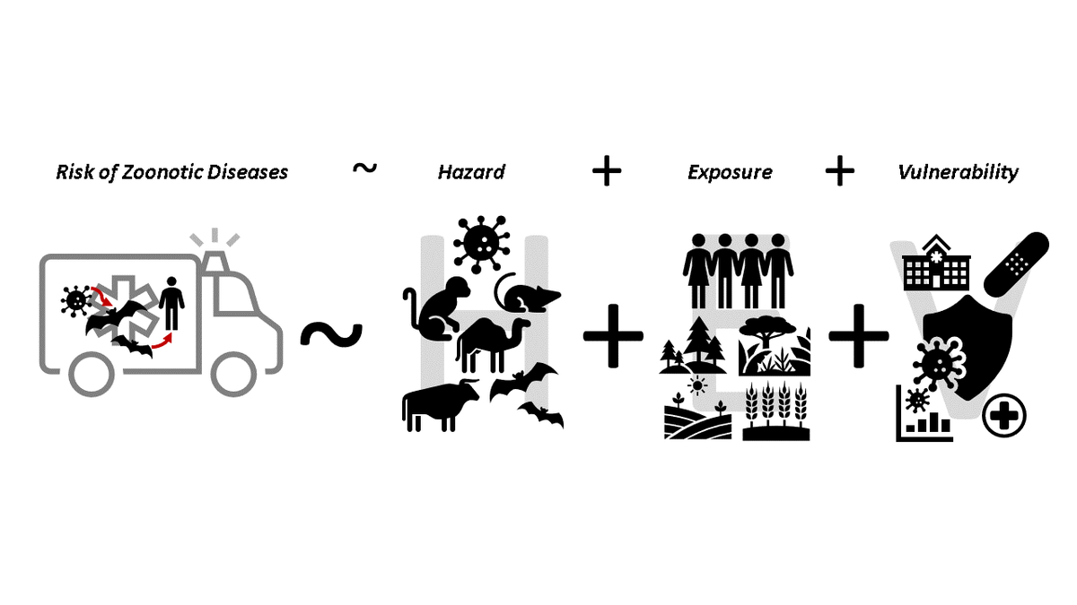 Moreno Di Marco (m-dimarco.bsky.social) (@m_dimarco) on Twitter photo On the 19th at 2.30pm in Room G, come see <a href="/ECatucci_EcoMod/">Elena Catucci, PhD</a> presenting "An ecological approach to the assessment of zoonotic risk exposure". Can we map human Exposure to Viral Zoonosis? Going beyond a simply index is possible! #ECCB2024Bologna 13/17 On the 19th at 2.30pm in Room G, come see <a href="/ECatucci_EcoMod/">Elena Catucci, PhD</a> presenting "An ecological approach to the assessment of zoonotic risk exposure". Can we map human Exposure to Viral Zoonosis? Going beyond a simply index is possible! #ECCB2024Bologna 13/17