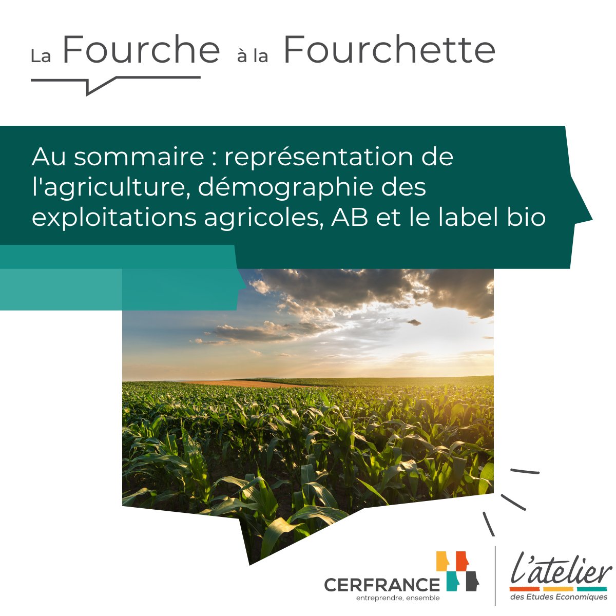 L’Atelier des études - AEE tweet media