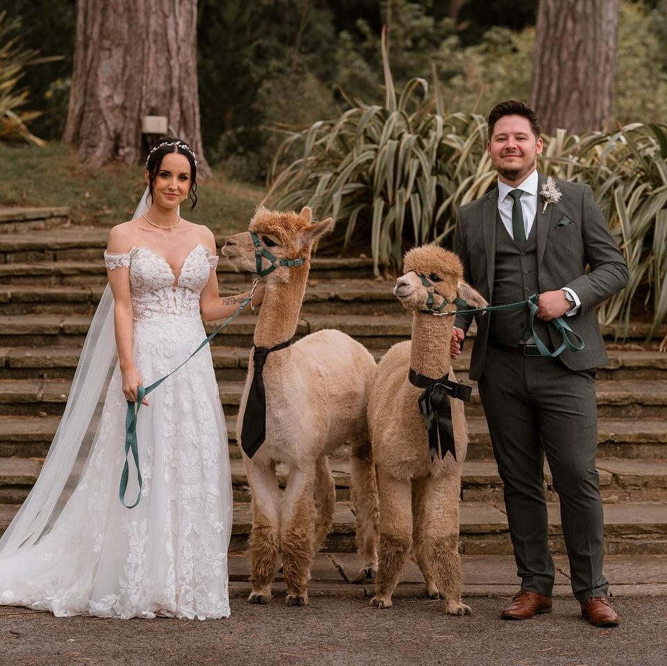 RushpoolHall's tweet image. ❣️ The Hendersons ❣️

@raysawyerphoto
@courtneylhendersonx 

To book a tour of Rushpool Hall wedding venue in North Yorkshire pop us a message or email us at weddings@rushpool.co.uk We would love to hear from you and start your wedding planning
