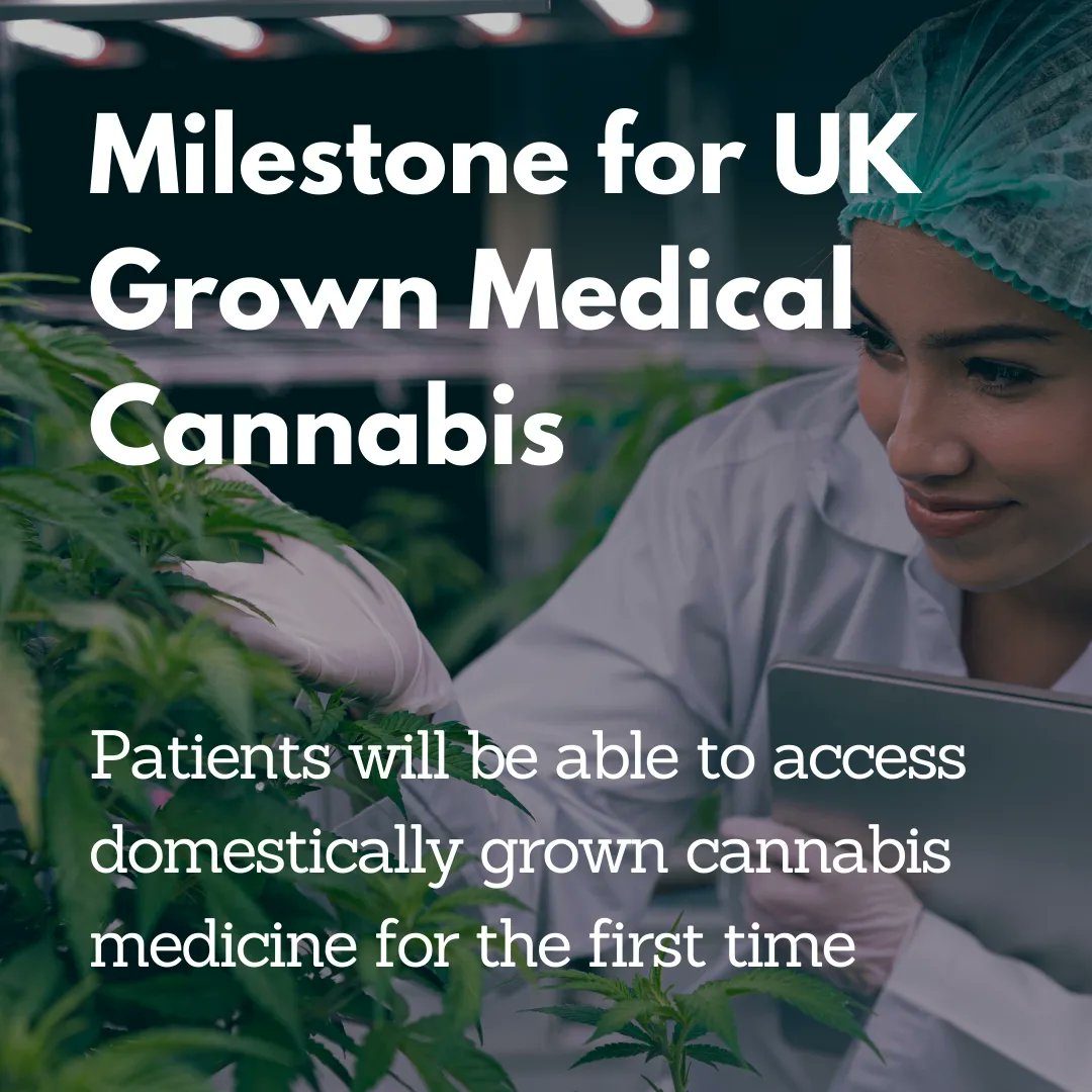 Big news in the UK medical cannabis scene 🇬🇧🌿

The launch of UK-grown medical cannabis marks a significant milestone in the market, which has long been hamstrung by its reliance on imported products and its impact on supply chains.

Read more here > nationalhempservice.co.uk/blogs/news/uk-…