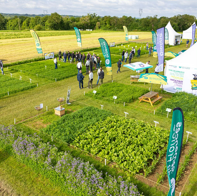 Semences de France tweet media