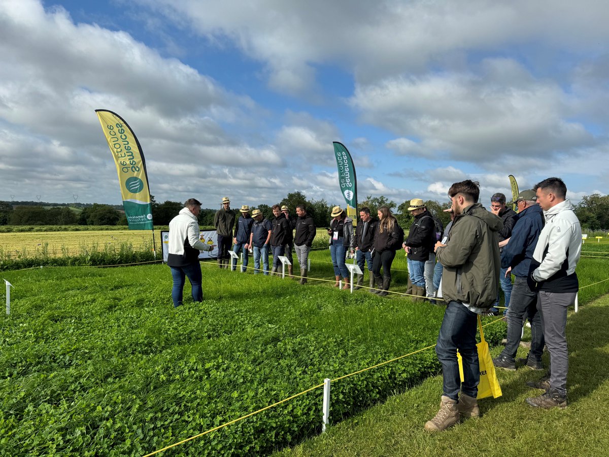 Semences de France tweet media