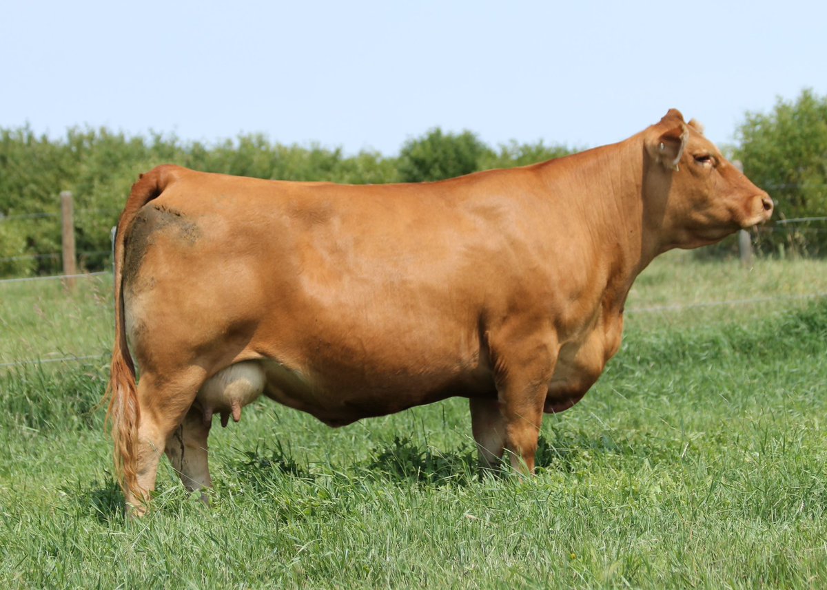 Eric Boon tweet media