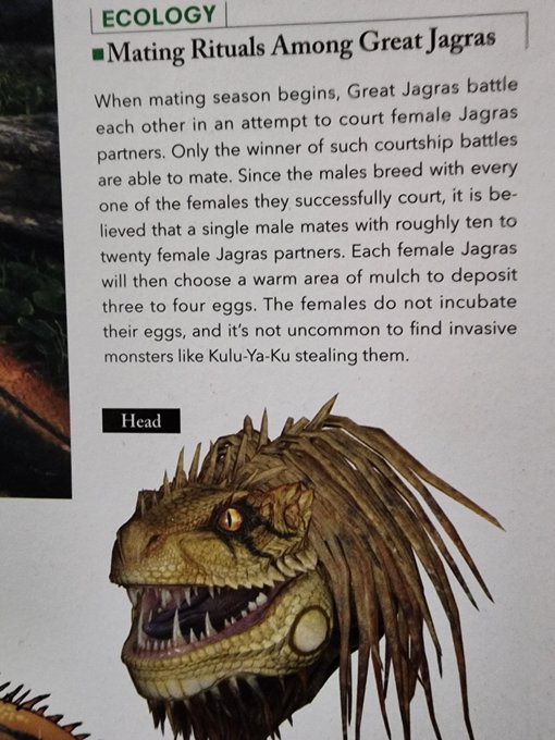 Image in tweet by BannedLagiacrus