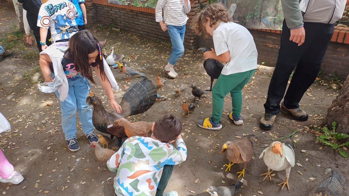 CeipJesus's tweet photo. En 1º de primaria han podido disfrutar de un taller muy interesante impartido por La Asociación de Estudios Ornitológicos de El Bierzo “TYTO ALBA”.Muchas gracias ha sido fantástico. https://t.co/4CfgH5gzYg
