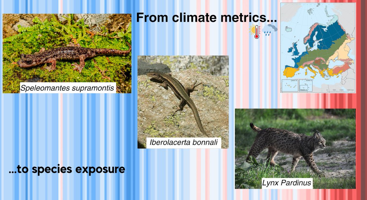 Moreno Di Marco (m-dimarco.bsky.social) (@m_dimarco) on Twitter photo Also on Thursday 20th <a href="/11am/">11 am in morning</a> at the Zoology Museum, Valerio Mezzanotte presents <a href="/NaturaConnect/">NaturaConnect</a> poster #451 on “The climate exposure of European protected areas: temporal trends and biodiversity implications”. #ECCB2024Bologna 17/17 Also on Thursday 20th <a href="/11am/">11 am in morning</a> at the Zoology Museum, Valerio Mezzanotte presents <a href="/NaturaConnect/">NaturaConnect</a> poster #451 on “The climate exposure of European protected areas: temporal trends and biodiversity implications”. #ECCB2024Bologna 17/17