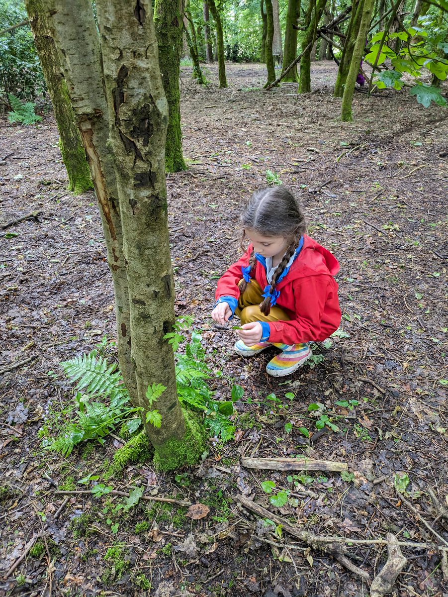 Hulme Grammar Prep School tweet media