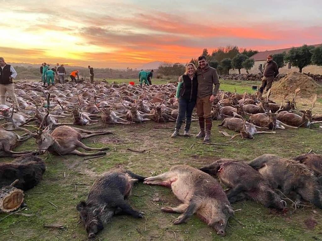Ciganos. Muçulmanos. Imigrantes.