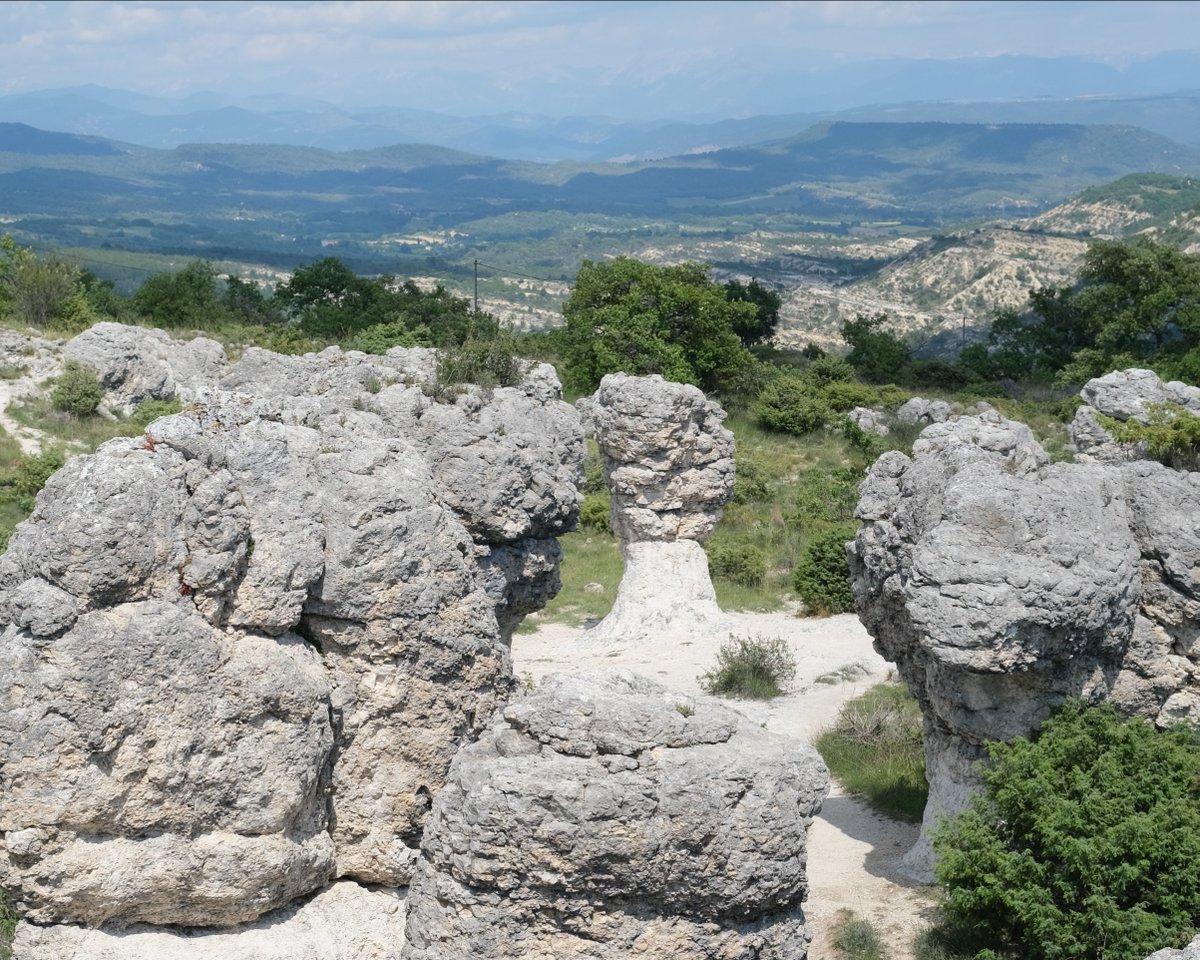 Distilleries et Domaines de Provence has a rich past. It is heir to a tradition that developed in the region of Forcalquier at the foot of the Lure mountain dating back thousands of years.

#DistilleriesetDomainedeProvence #DDP #French #distillery
