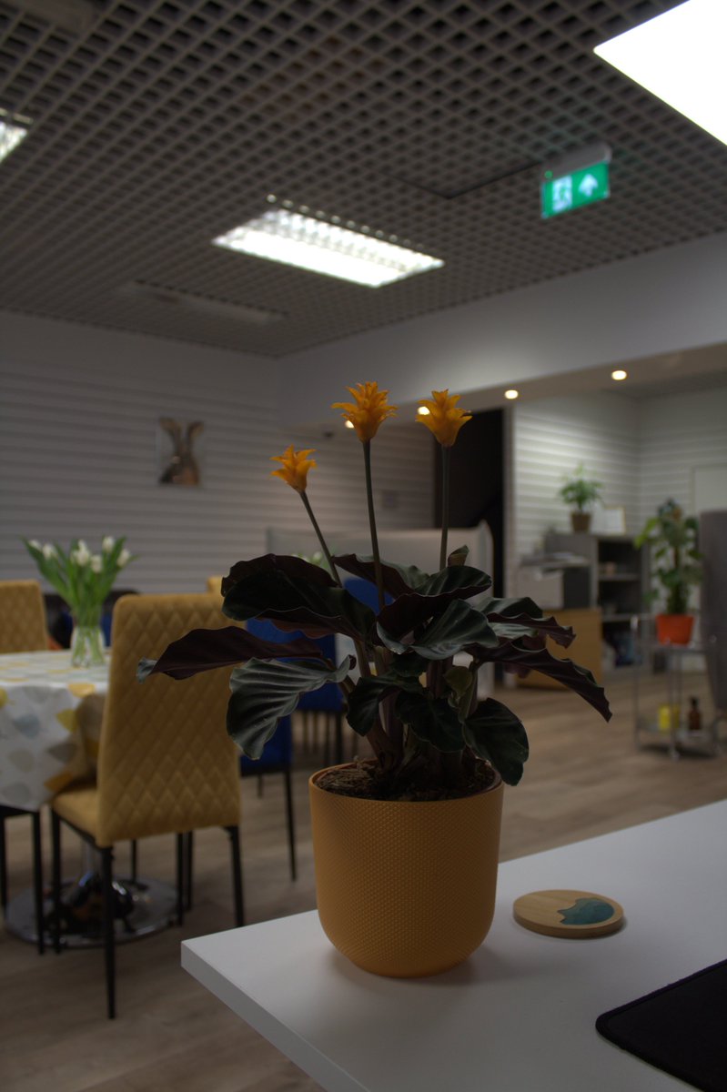 Would you like to know what we're up to?

We have a newsletter that includes all of our latest updates, delivered straight to your email inbox quarterly!

Sign up now at the link below 😄

eepurl.com/gfQRFn