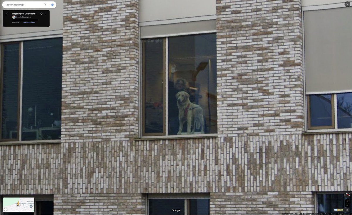 Vittorio Saggiomo (@Vsaggiomo@bsky.social) tweet media