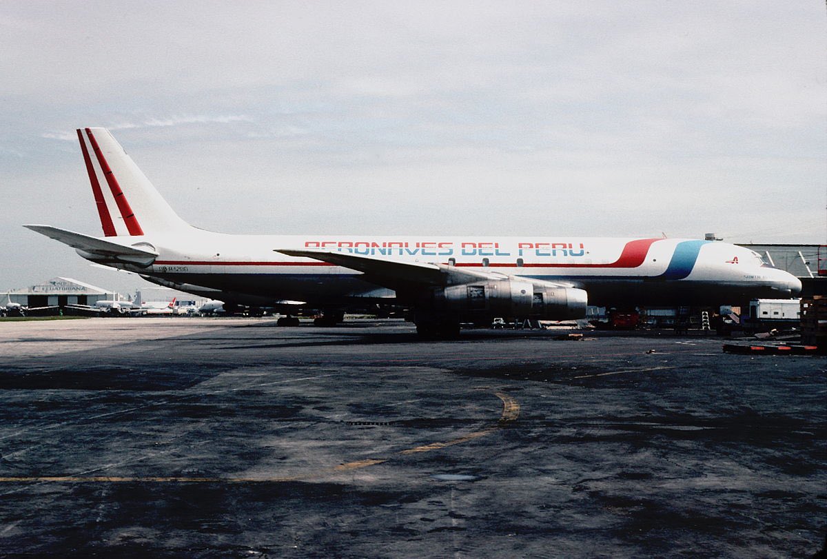 In 1996, a tragic incident occurred during a Colombian cargo flight. The captain and flight engineer, in a misguided attempt at humor, decided to play a prank on their inexperienced first officer. 

They handed over control of LAC Colombia Flight 028 to the first officer and then